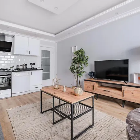 Stylish City Apartment High-Speed Wif Elevator *