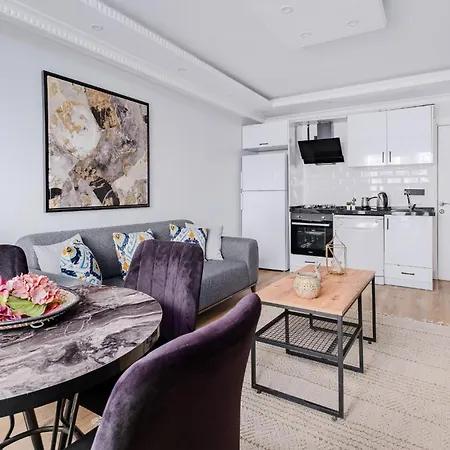 Stylish City Apartment High-Speed Wif Elevator Apartment *